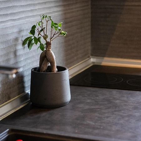 Aegli Central Luxury Apartment Александруполис Екстериор снимка